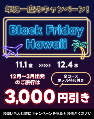 年に一度のBIGセール・BLACK FRIDAY ハワイツアー！